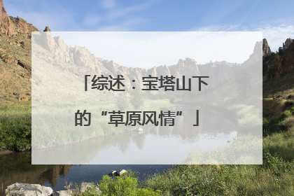 综述：宝塔山下的“草原风情”