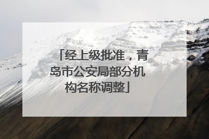 经上级批准，青岛市公安局部分机构名称调整
