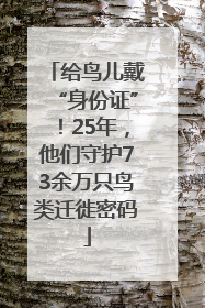 给鸟儿戴“身份证”！25年，他们守护73余万只鸟类迁徙密码