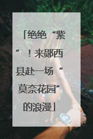 绝绝“紫”！来郧西县赴一场“莫奈花园”的浪漫