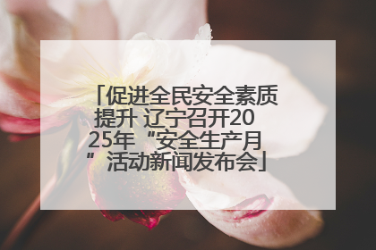 促进全民安全素质提升 辽宁召开2025年“安全生产月”活动新闻发布会