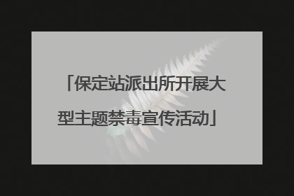 保定站派出所开展大型主题禁毒宣传活动