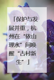 保护与发展并重，杭州在“依山理水”间唤醒“古村新生”