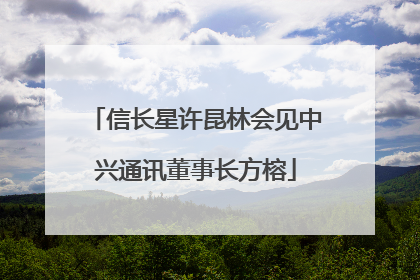 信长星许昆林会见中兴通讯董事长方榕