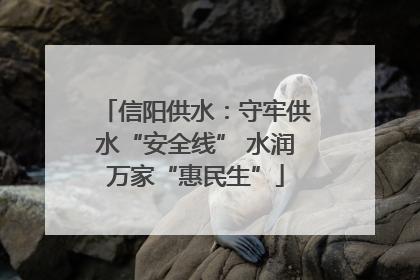 信阳供水：守牢供水“安全线” 水润万家“惠民生”