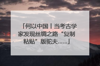 何以中国丨当考古学家发现丝绸之路“复制粘贴”版驼夫……