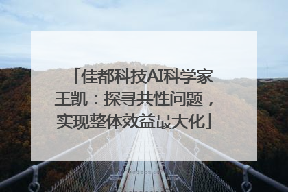 佳都科技AI科学家王凯：探寻共性问题，实现整体效益最大化