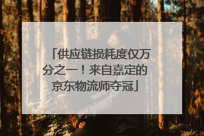 供应链损耗度仅万分之一！来自嘉定的京东物流师夺冠