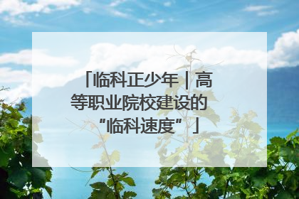 临科正少年｜高等职业院校建设的“临科速度”