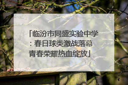 临汾市同盛实验中学：春日球类激战落幕 青春荣耀热血绽放