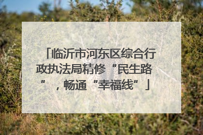 临沂市河东区综合行政执法局精修“民生路”，畅通“幸福线”