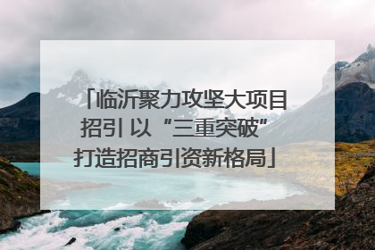 临沂聚力攻坚大项目招引 以“三重突破”打造招商引资新格局