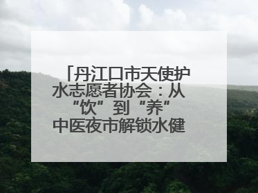 丹江口市天使护水志愿者协会：从“饮”到“养” 中医夜市解锁水健康新密码