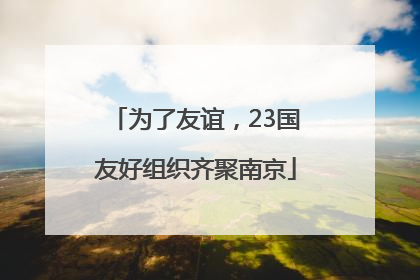 为了友谊，23国友好组织齐聚南京