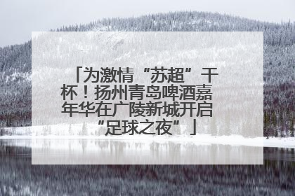 为激情“苏超”干杯！扬州青岛啤酒嘉年华在广陵新城开启“足球之夜”