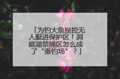 为钓大鱼操控无人艇进保护区！洞庭湖禁捕区怎么成了“垂钓场”？