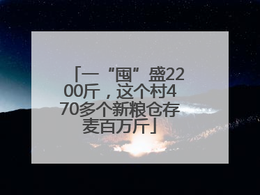一“囤”盛2200斤，这个村470多个新粮仓存麦百万斤