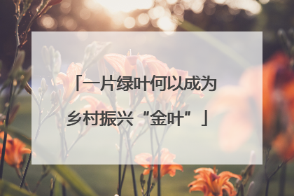 一片绿叶何以成为乡村振兴“金叶”