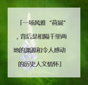 一场风雅“荷展”，背后是相隔千里两地的渊源和令人感动的历史人文情怀