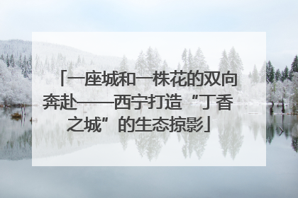 一座城和一株花的双向奔赴——西宁打造“丁香之城”的生态掠影