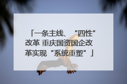 一条主线、“四性”改革 重庆国资国企改革实现“系统重塑”