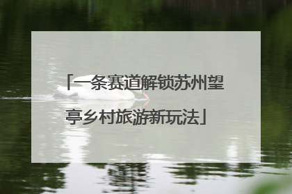一条赛道解锁苏州望亭乡村旅游新玩法