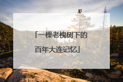一棵老槐树下的百年大连记忆