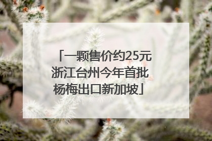 一颗售价约25元 浙江台州今年首批杨梅出口新加坡