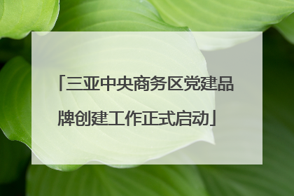 三亚中央商务区党建品牌创建工作正式启动