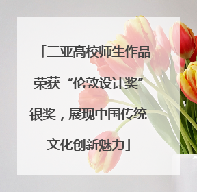 三亚高校师生作品荣获“伦敦设计奖”银奖，展现中国传统文化创新魅力