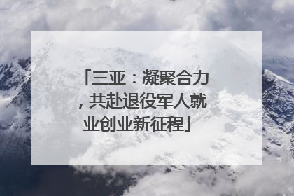 三亚：凝聚合力，共赴退役军人就业创业新征程