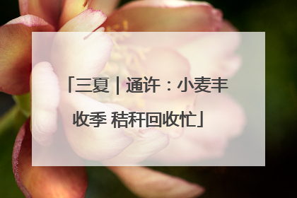 三夏｜通许：小麦丰收季 秸秆回收忙