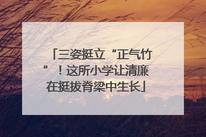 三姿挺立“正气竹”！这所小学让清廉在挺拔脊梁中生长