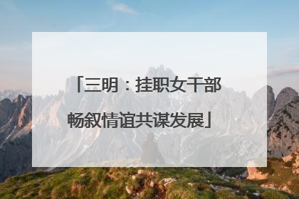 三明：挂职女干部畅叙情谊共谋发展