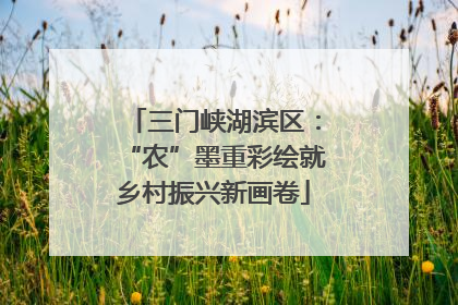 三门峡湖滨区：“农”墨重彩绘就乡村振兴新画卷