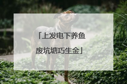 上发电下养鱼 废坑塘巧生金