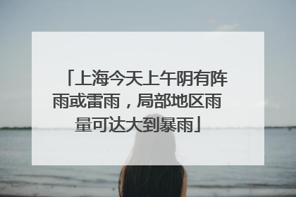上海今天上午阴有阵雨或雷雨，局部地区雨量可达大到暴雨