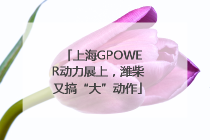 上海GPOWER动力展上，潍柴又搞“大”动作