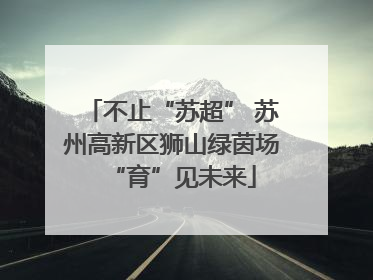 不止“苏超” 苏州高新区狮山绿茵场“育”见未来