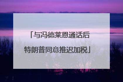 与冯德莱恩通话后 特朗普同意推迟加税