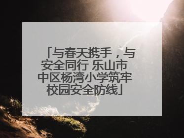 与春天携手，与安全同行 乐山市中区杨湾小学筑牢校园安全防线