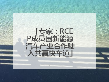 专家：RCEP成员国新能源汽车产业合作驶入共赢快车道