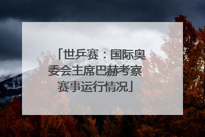 世乒赛：国际奥委会主席巴赫考察赛事运行情况
