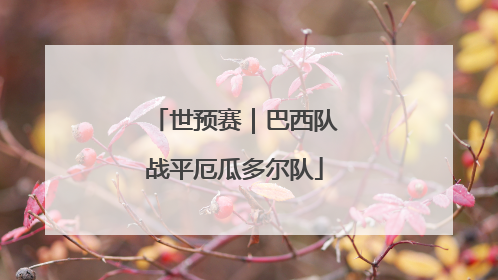 世预赛｜巴西队战平厄瓜多尔队