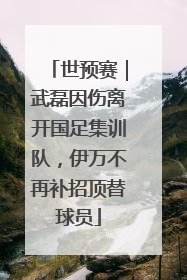 世预赛｜武磊因伤离开国足集训队，伊万不再补招顶替球员
