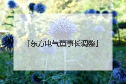 东方电气董事长调整