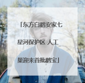 东方白鹳安家七星河保护区 人工巢迎来首批鹳宝