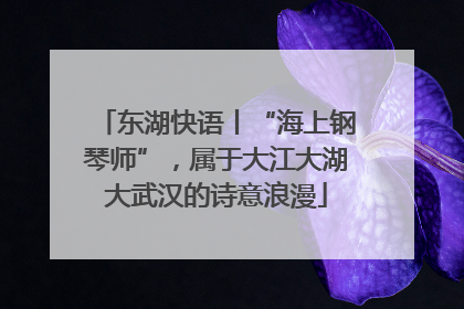 东湖快语丨“海上钢琴师”，属于大江大湖大武汉的诗意浪漫