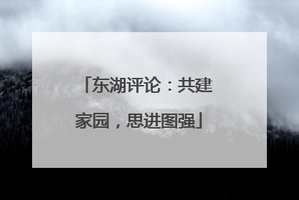 东湖评论：共建家园，思进图强
