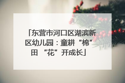 东营市河口区湖滨新区幼儿园：童耕“棉”田 “花”开成长